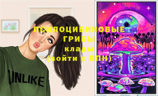 mdma Горняк