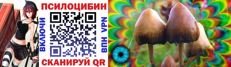 Псилоцибиновые грибы Cubensis  Купить закладки  Наволоки 